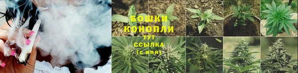 мяу мяу мука Бугульма