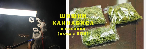 мет Бородино