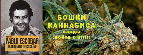 мет Бородино