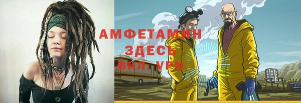 индика Богданович