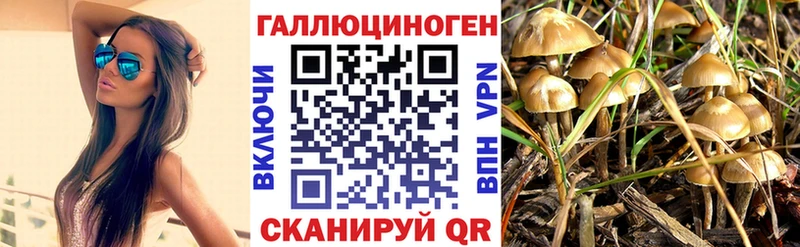 где можно купить   Дальнереченск  Псилоцибиновые грибы прущие грибы 