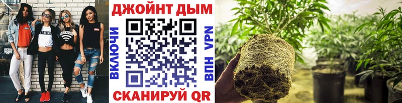 блэк спрут tor цена наркотик Дальнереченск Бошки марихуана THC 21%